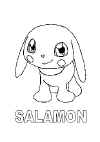 kleurplaat-salamon.jpg (32440 bytes)